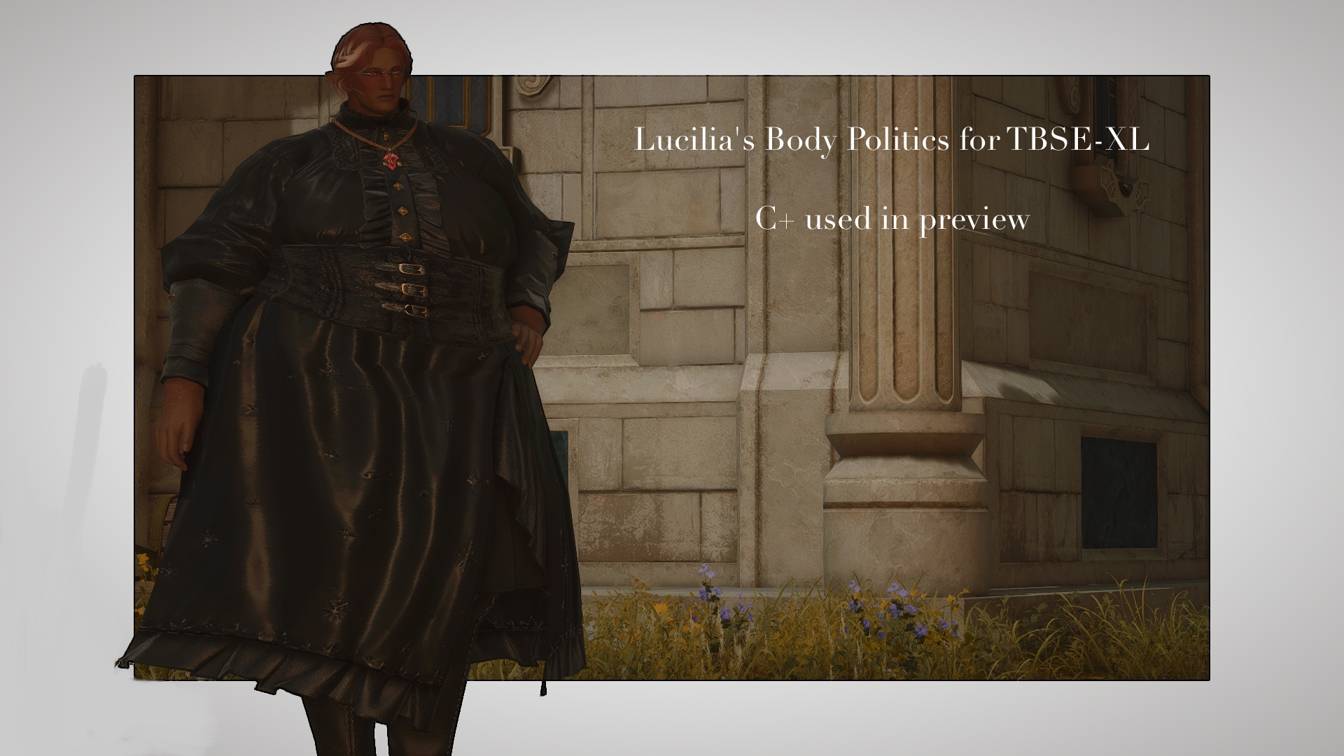 Body Politics for TBSE-XL