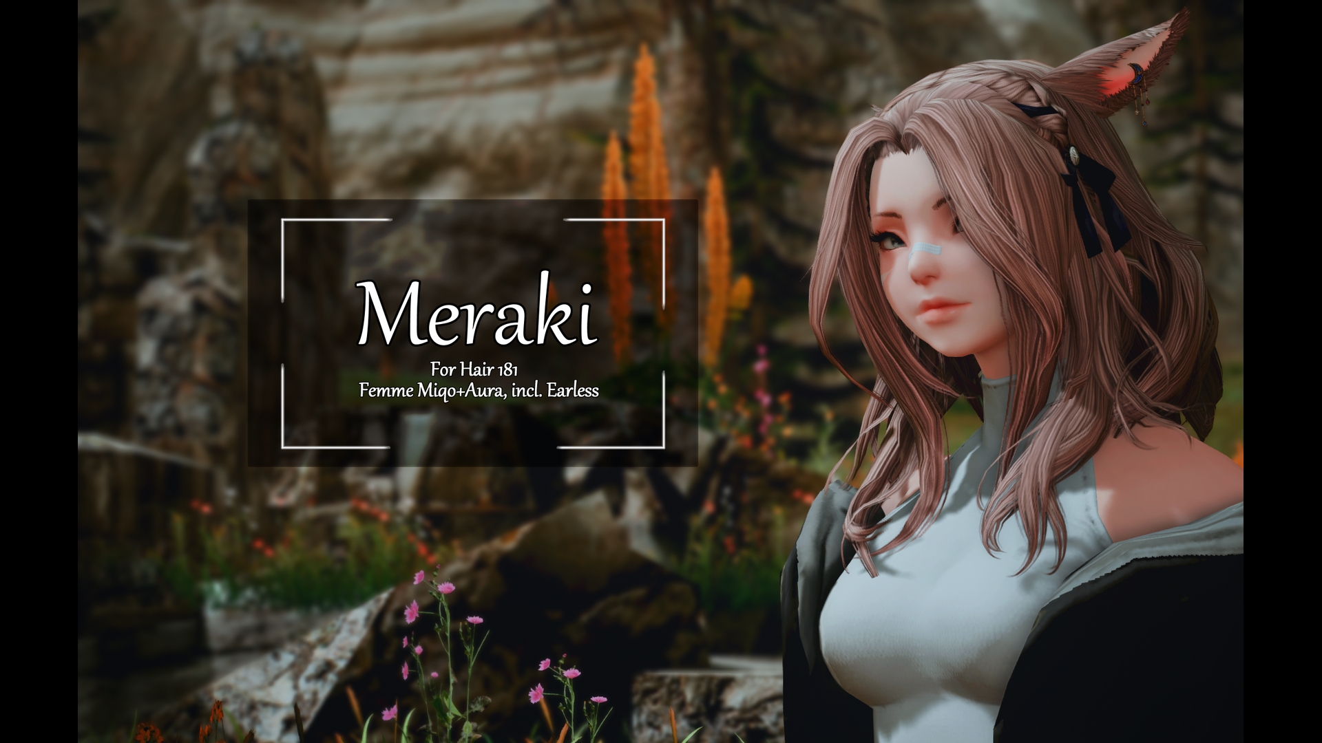 Meraki